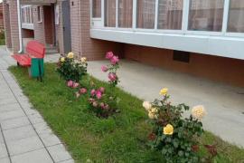 1-к. квартира, 43,6 м², 3/12 эт.