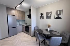 1-к. квартира, 43,1 м², 1/10 эт.
