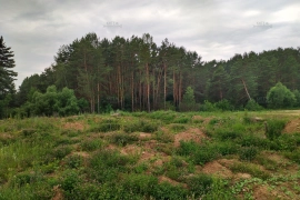 Участок 11,87 с. Черносвитино