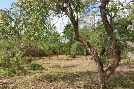 Дача 600 м2, Тихонова Пустынь