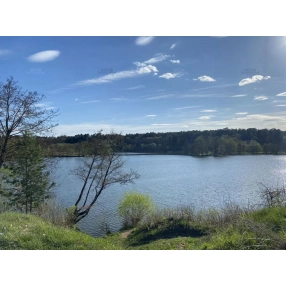 Участок 9 сот. (СНТ, ДНП)