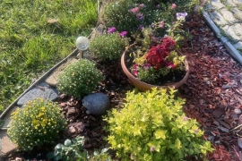 Дача 37,4 м² на участке 4,7 сот.