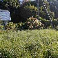 Продаю дачу Ольговка